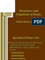 Structures and Functions of Plant Organs