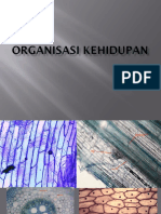 Organization Kehidupan