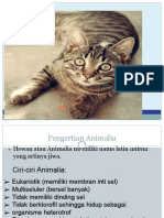 Bab 8 Dunia Hewan (Animalia)