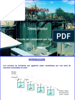 CircuitoLixiviacionPorAgitacion.pdf