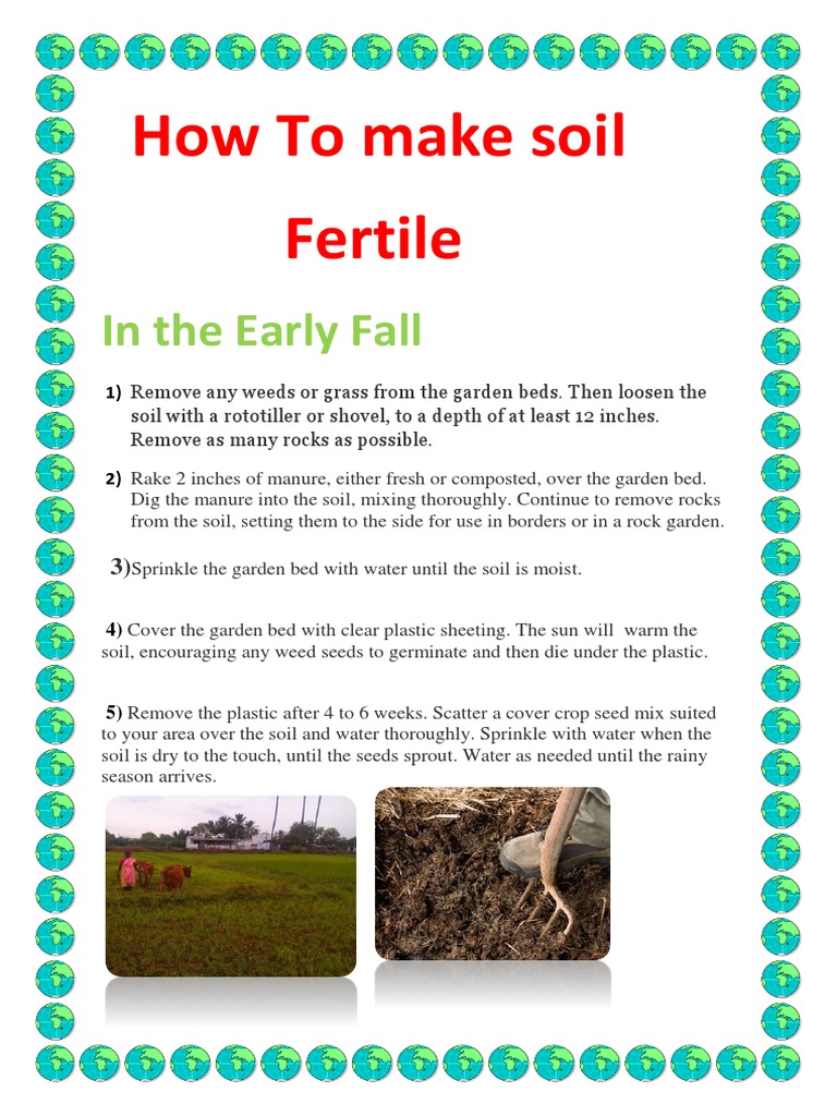 How To Make Soil Fertile in The Early Fall PDF Surface Runoff Soil