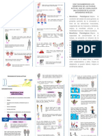 Programa de Pausas Activas Word