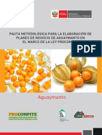 Pauta_planes_de_negocios_aguaymanto.pdf