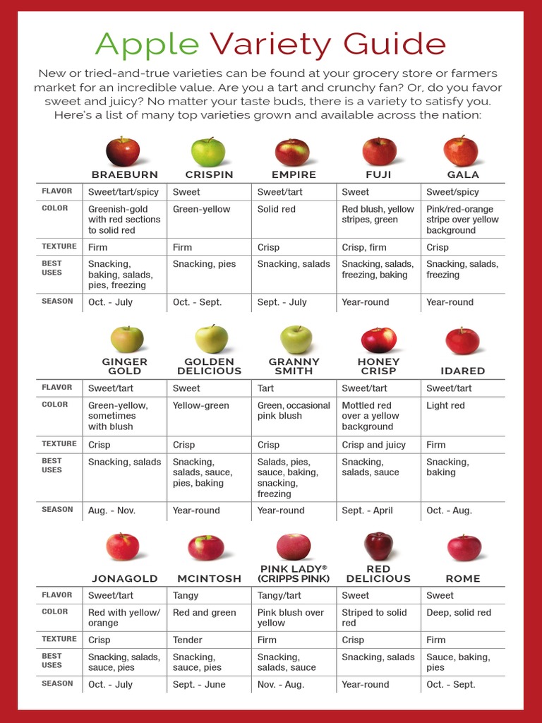 Apple Variety Guide PDF Edible Fruits Foods