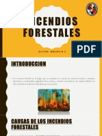 INCENDIOS FORESTALES Presentacion