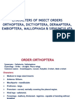 Characters of Insect Orders Orthoptera, Dictyoptera, Dermaptera, Embioptera, Mallophaga & Siphunculata