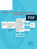 Hbeas Corpus - Trmite para Casos de Desaparicin Forzada PDF