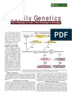 Daylily Genetics Part 2 Pathways to Colour From Phenotype to Genotype final.pdf