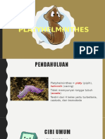 Platyhelminthes (Autosaved)