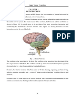 Brain Tumor Detection: Introduction