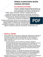 Tipos de Empresa Clasificados Según Diversos Criterioscerebro