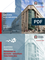 Programa Revisión RLI PDF