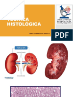 Técnica Histológica