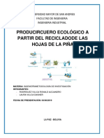 Cuero Ecologico Conclusiones y Problematica