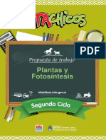 Script-Tmp-Inta - Ficha Docente Plantas y Fotosintesis PDF