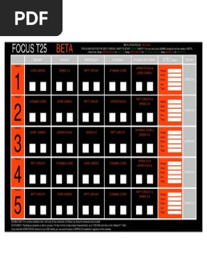 T25 Beta PDF PDF Sports