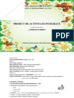 Proiect Didactic Grupa Mijlocie