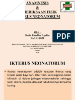 Ikterus Neo