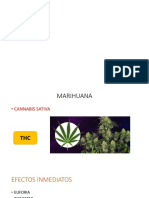 Marihuana