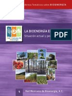 vision generacion por biomasa.pdf