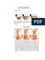 356918023-1-Laporan-Pendahuluan-Antenatal-Trimester-i.docx