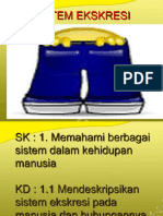 Powerpoint Bab 9. Sistem Ekskresi Manusia