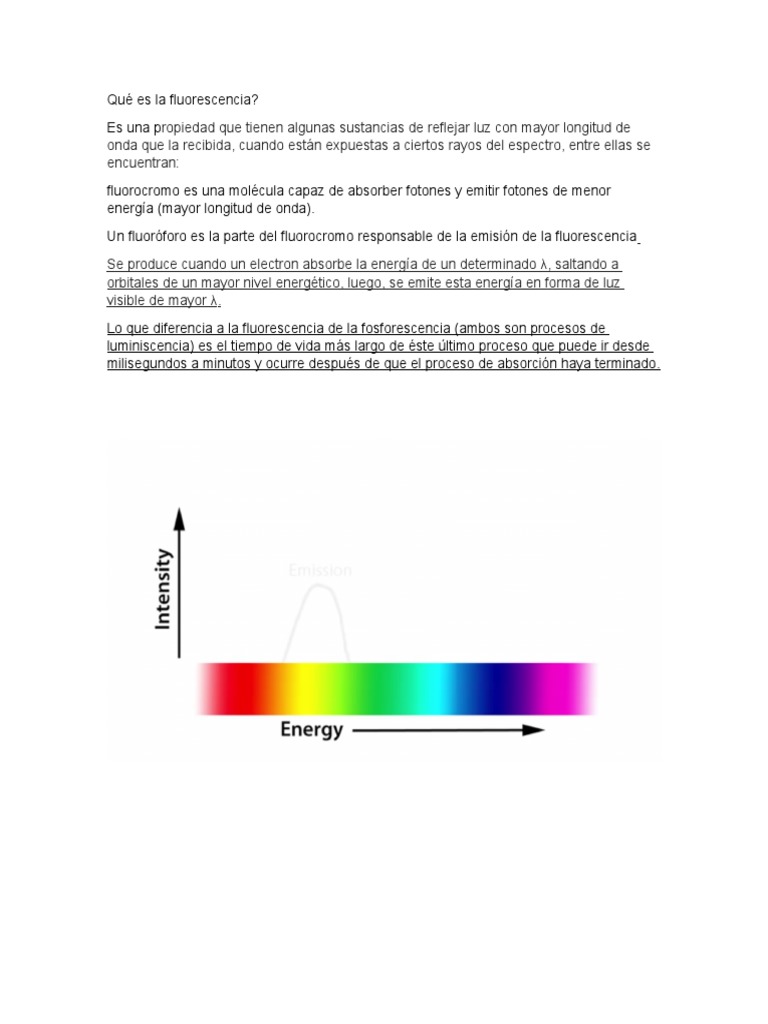 Fluorescencia: Definición y Ejemplos | PDF | Fluorescencia | Filtro óptico