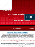 nr ciesp nr.pdf