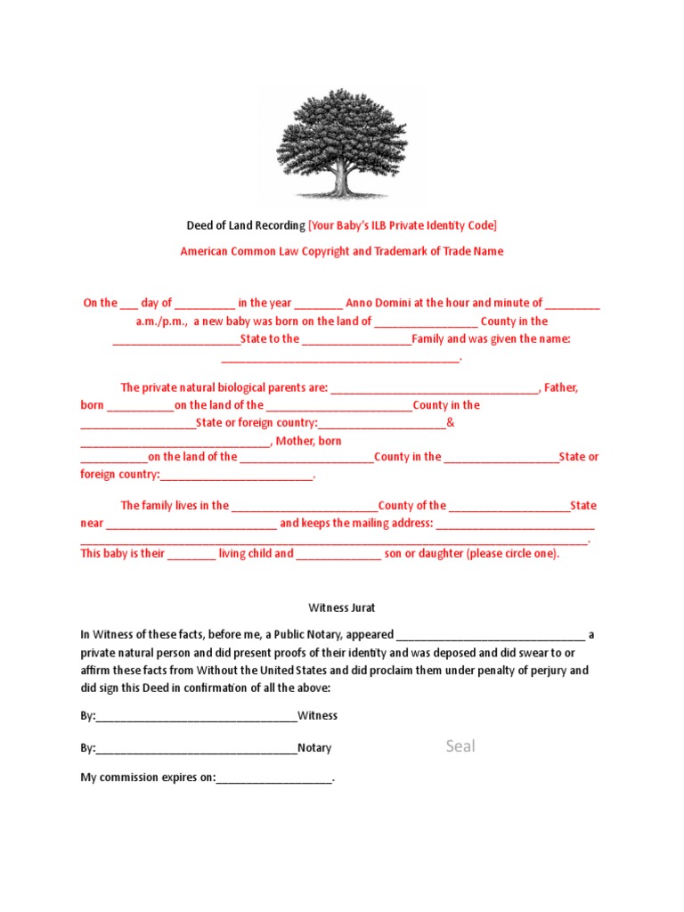 Baby Deed of Land Recording Notary Public Government Information