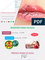 Desequilibrio Hidroelectrolitico