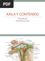 Anatomía de la Axila y sus Estructuras | PDF | Extremidades (anatomía ...