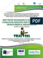 ghid_practica (1).pdf