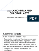 Mitochondria and Chloroplasts: Structure and Function - A Review