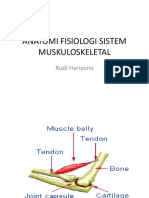 KMB III Pak Rudi (1. Anatomi Fisiologi Muskuloskeletal)