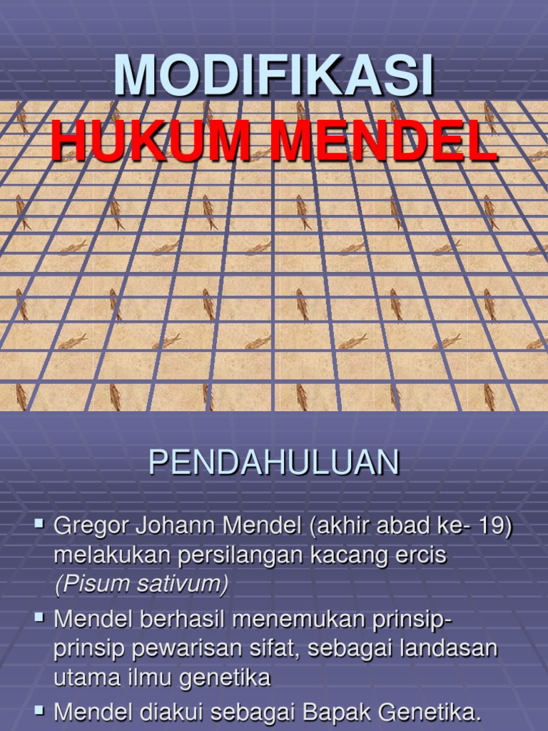 Jika sifat dominan tanaman kacang ercis berbiji kuning polong rata maka sifat resesif tanaman terseb