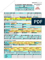 Ficha_Individual.pdf