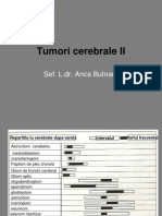 Tumori Cerebrale II