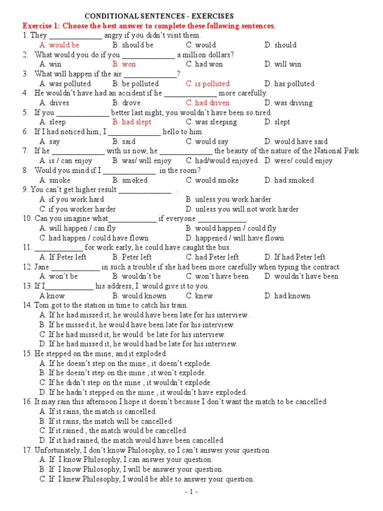 Conditional Sentences Exercises | PDF