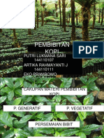 Pembibitan Kopi