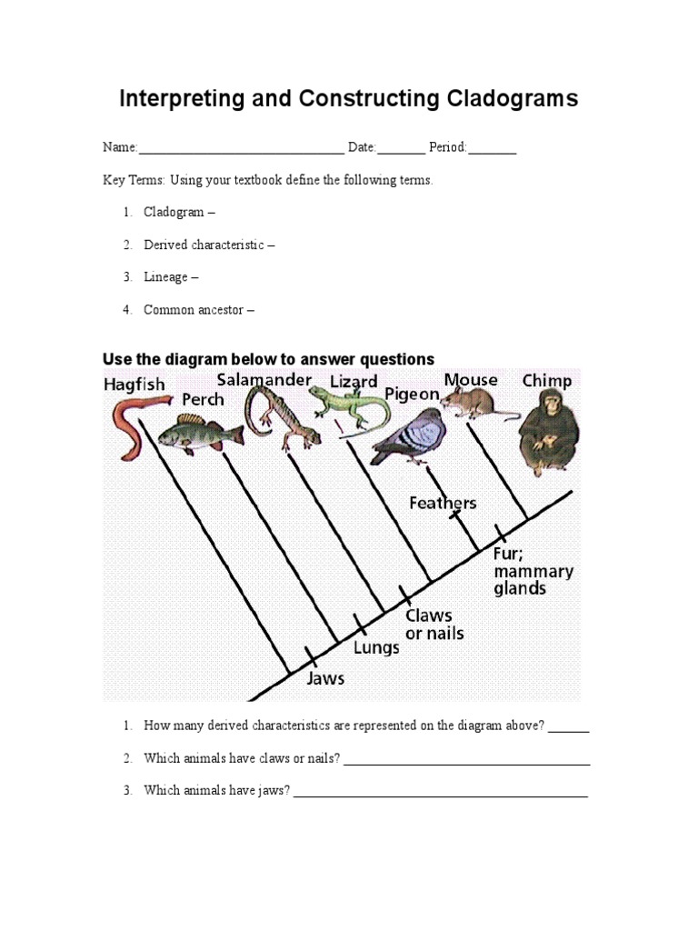 Plant Cladogram Worksheet