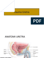 Urethra Trauma Document