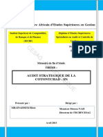 Audit Stra-2 PDF