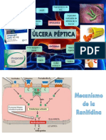 Semana 1