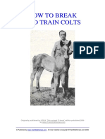 How to Break and Train Colts