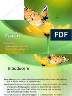 Insecte