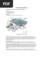 Manual de Construc3a7c3a3o de Piscina