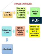 Secuencia Del Proceso de Autorregulación