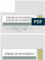 Terms of Movement and Bone Markings