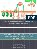 Praktikum Biologi Kacang Hijau