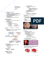 Histopathology Notes